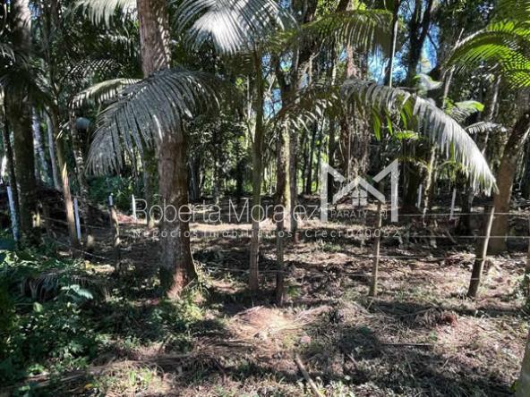 Ótimo terreno plano para venda em Paraty